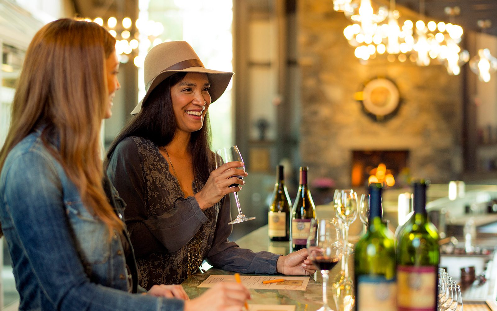 Wine Tasting Tours in Michigan Wine Country