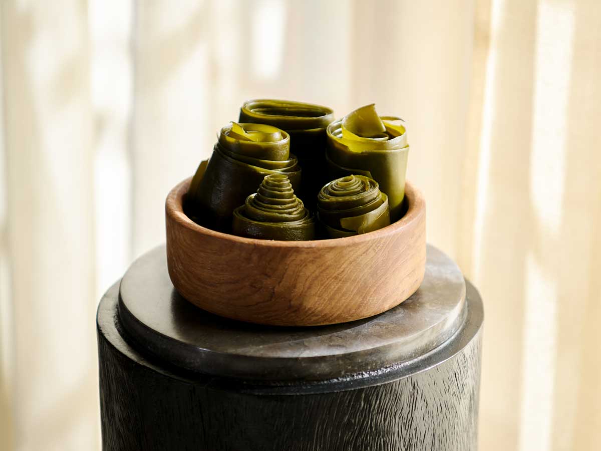 Foundation_Spa_Seaweed